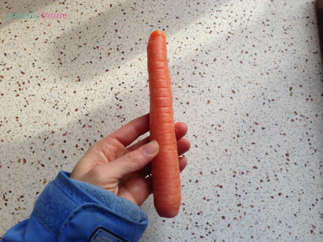 raw-carrot