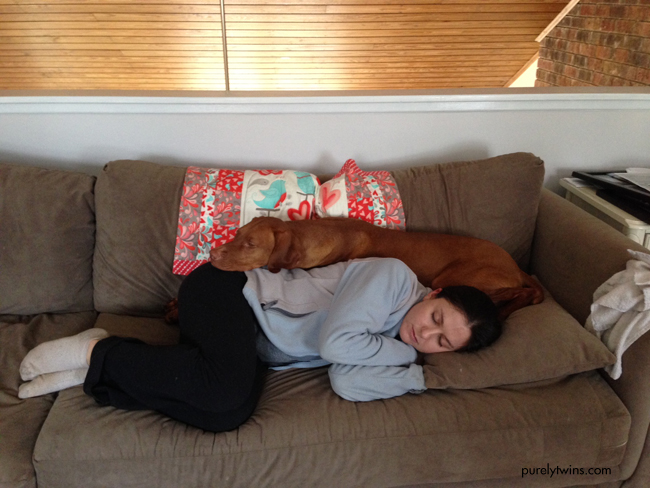 sleeping jax lori on sofa