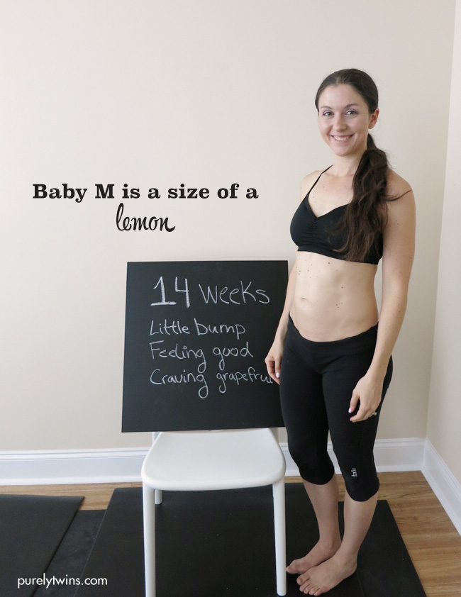 14 week pregnant progress picture