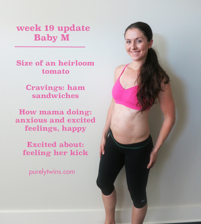 baby week 19 pregnancy update purelytwins