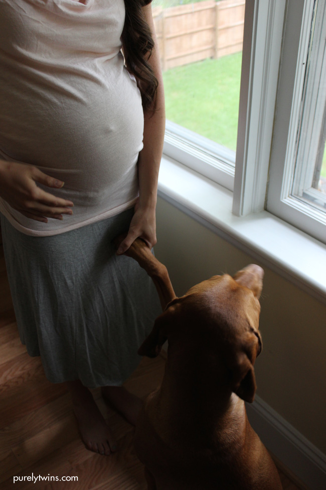 baby and new mom with vizsla