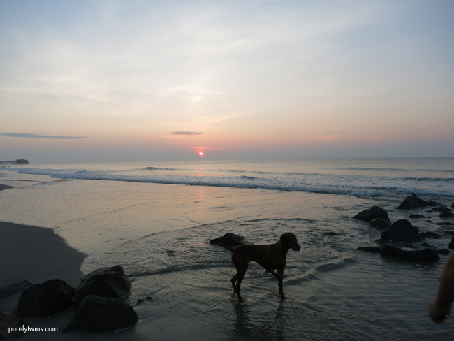 jax sunrise beach
