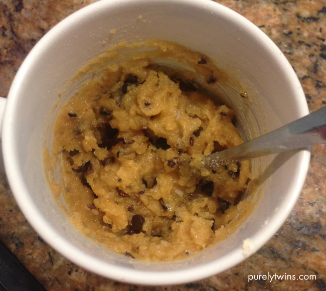 protein mush with chocolate chips