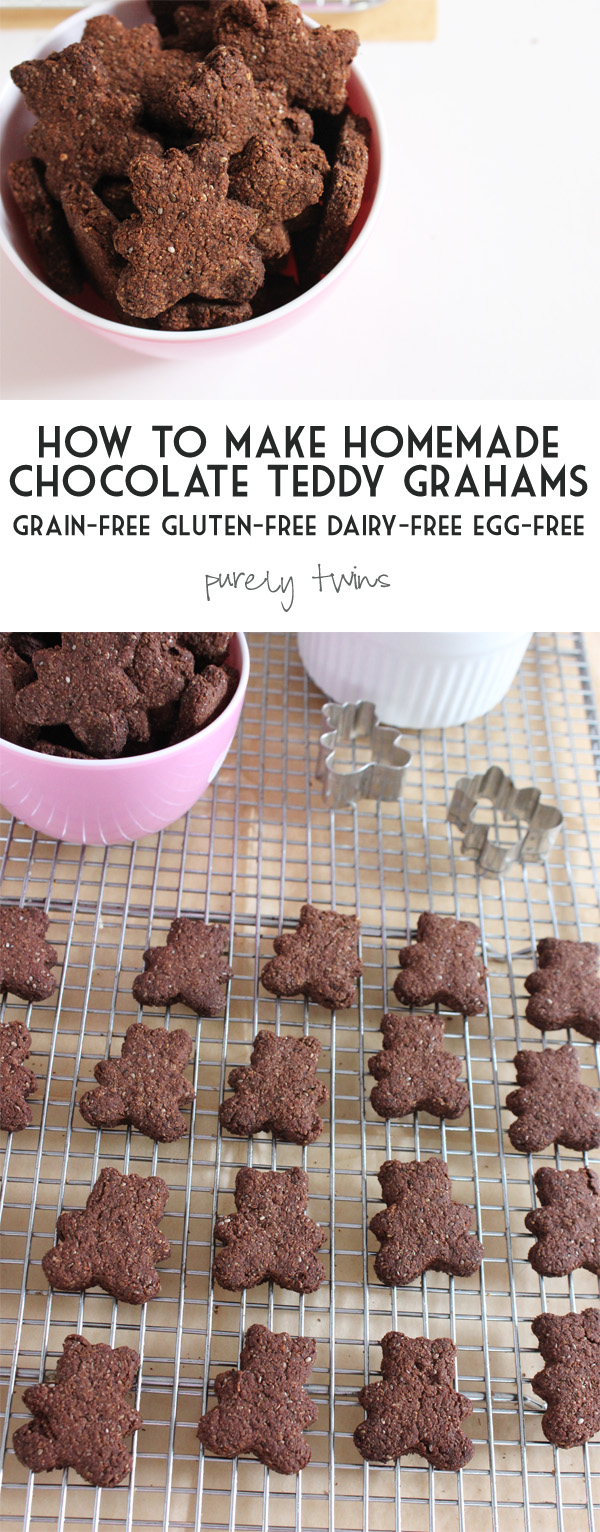 how-to-make-healthy-chocolate-teddy-grahams-for-snacks-for-kids-moms-approved-purelytwins