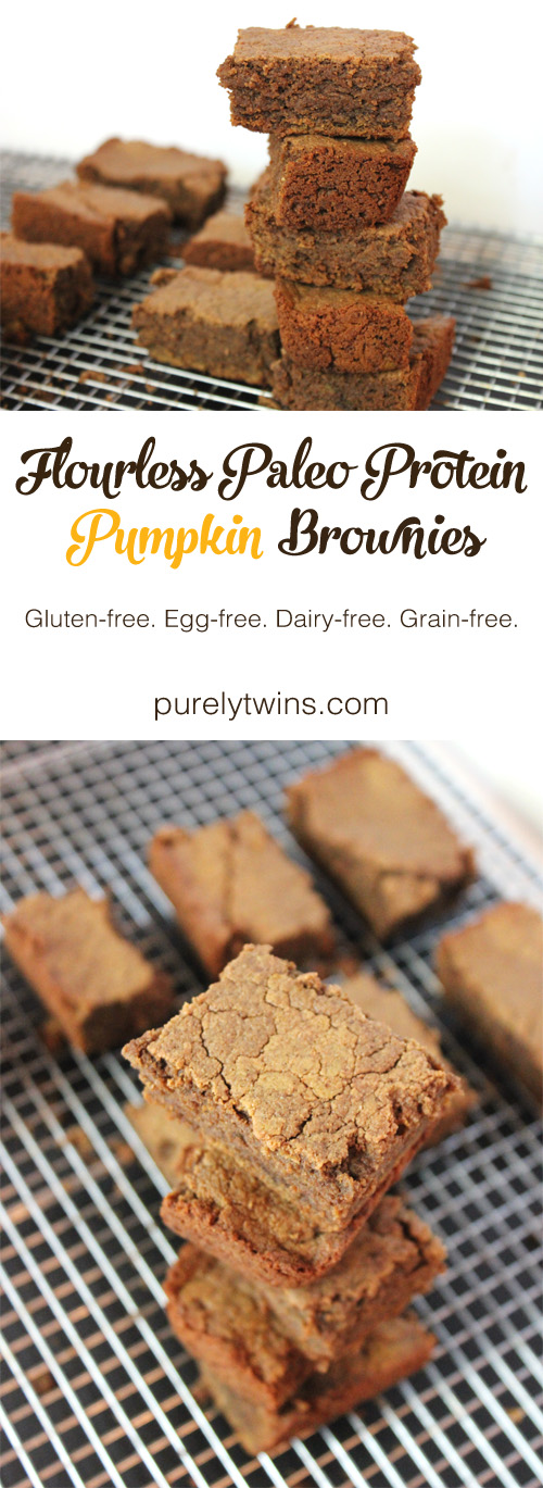 Flourless paleo protein pumpkin brownies. Healthy brownies that are easy to make and taste amazing. These will become your go-to recipe. Gluten-free. Grain-free. Egg-free-Dairy-free. | purelytwins.com