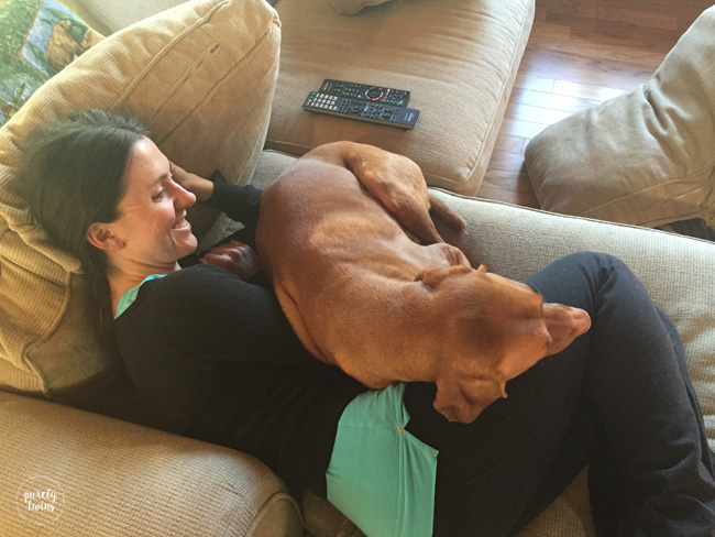 Vizsla resting with his owner - pregnant with second child.