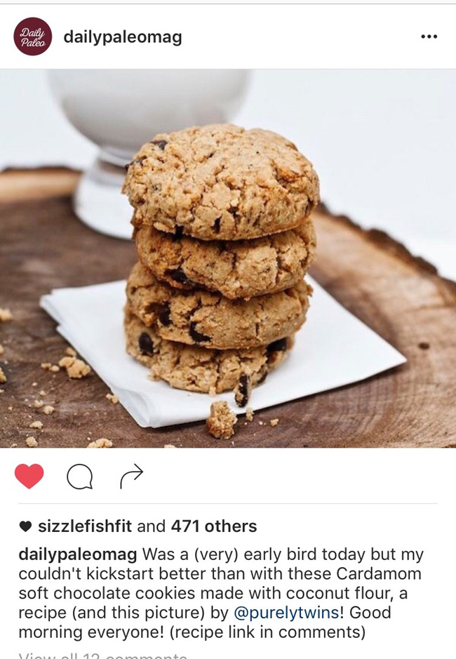 Daily Paleo Mag Instagram shared our paloe chocolate chip cookie recipe