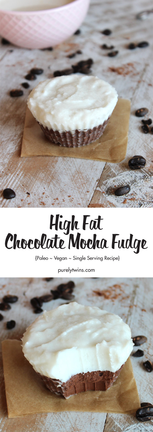 Super quick fudge recipe that makes just enough for one. If you love mocha coffee then you'll love this healthy dessert recipe. This Mocha Fudge is smooth, creamy, and chocolatey with a hint of coffee. It takes under 5 minutes to make. Gluten-free, grain-free, dairy-free and sweetened with stevia.