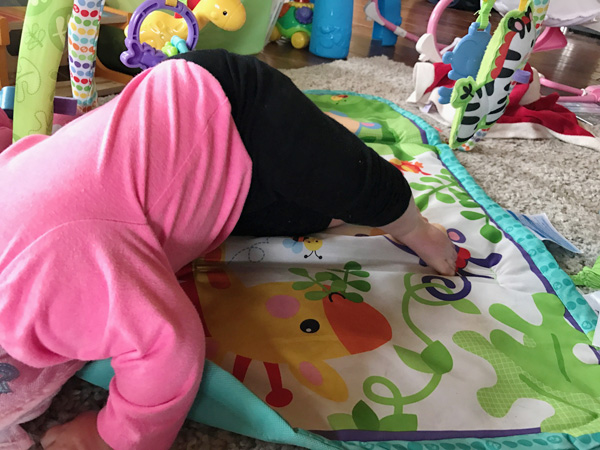 5 month old baby girl getting her butt in the air getting ready to crawl.
