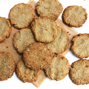 best-grain-free-egg-free-brewers-yeast-lactation-cookie-recipe-purelytwins